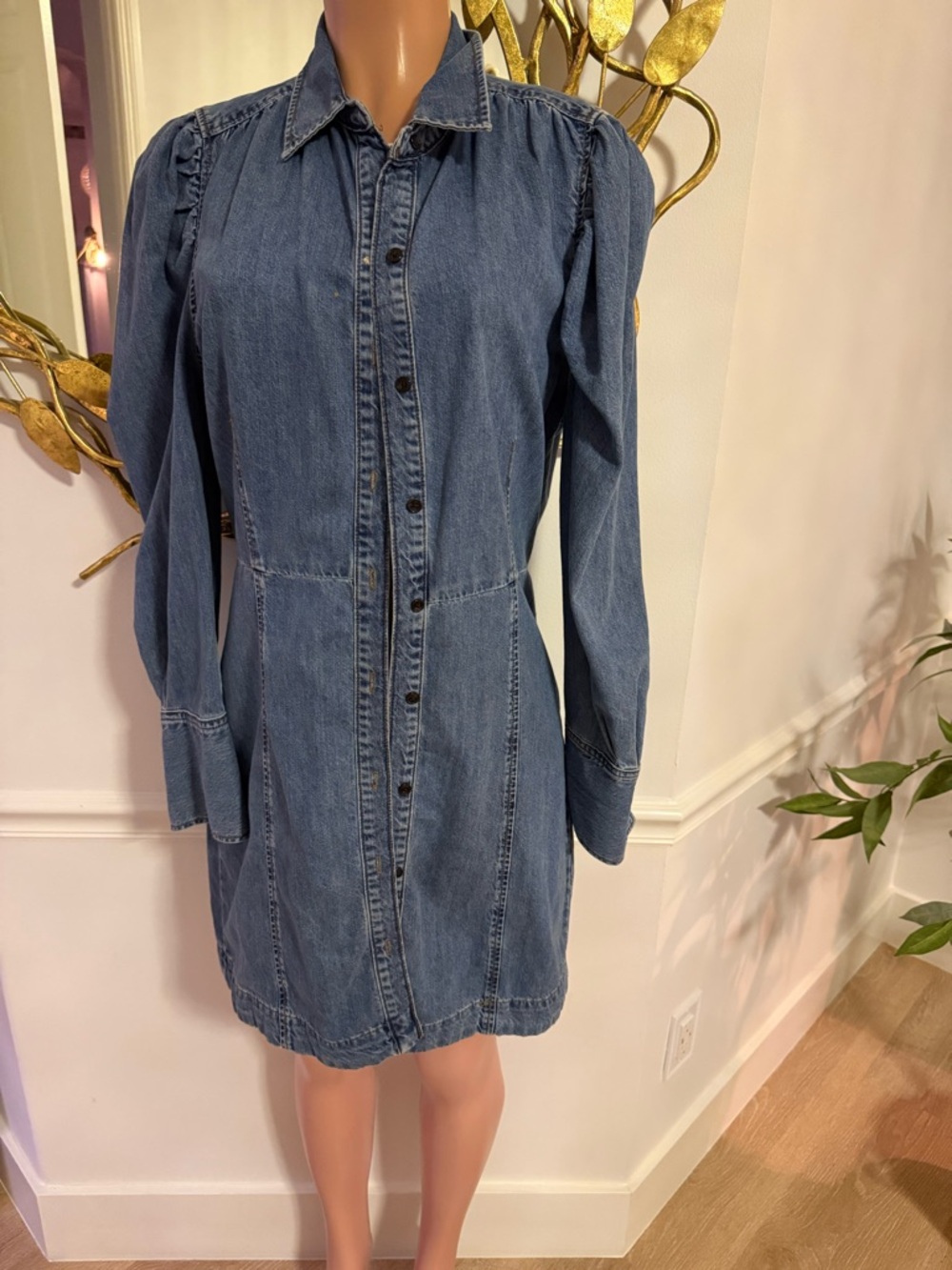 Frame Denim Voluminous Puff Long Sleeve Eugenia Mini Dress